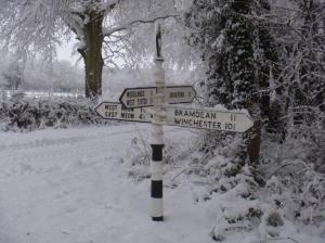 Christmas tree plantation 016